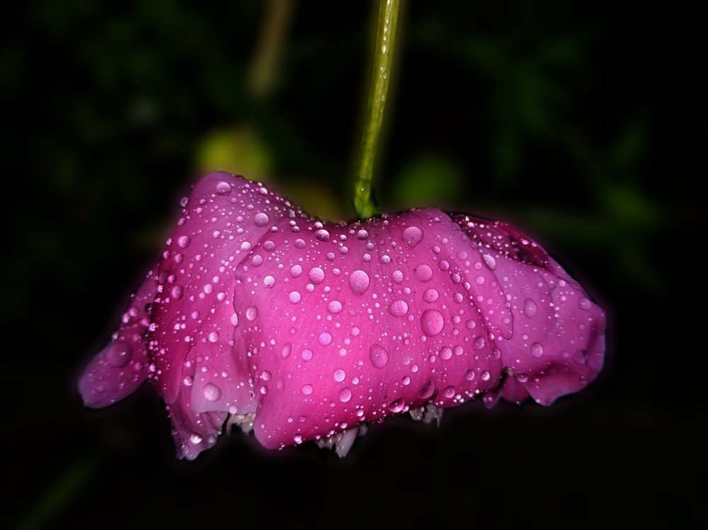 Photograph by Анна Бурлака