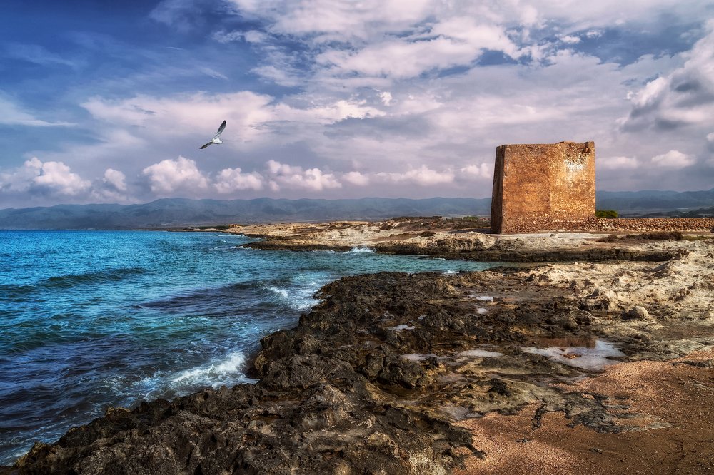 Стихии и фактуры