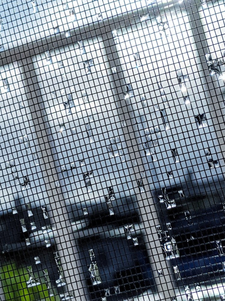 Photograph by Prakhar Sengar