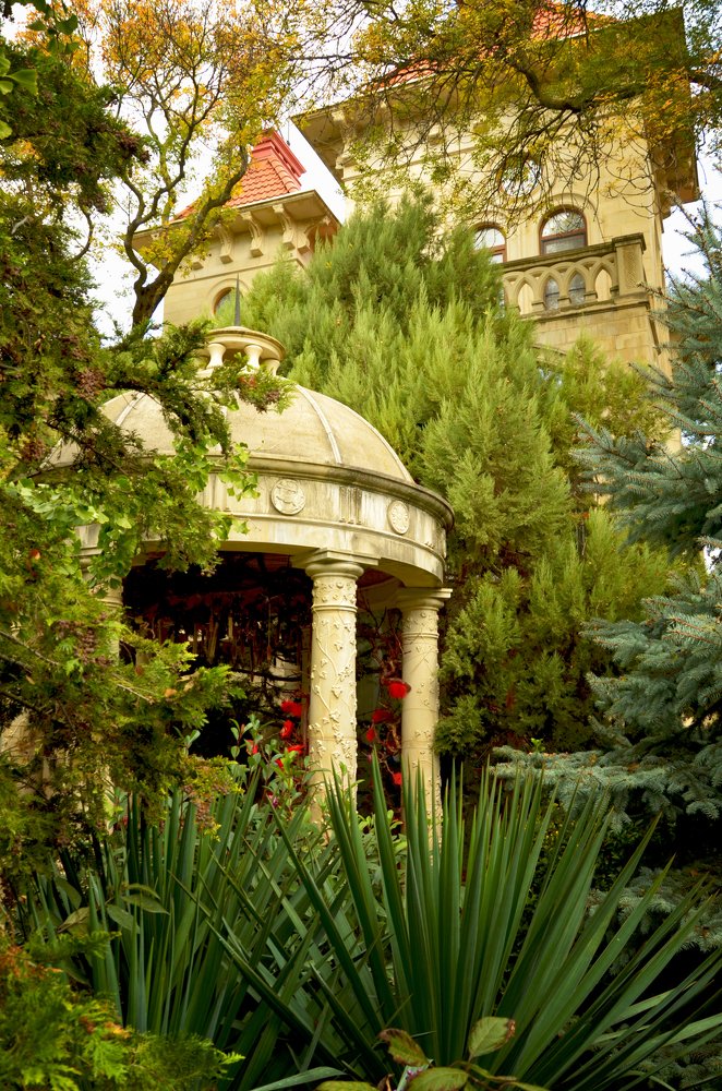 Photograph by Пилишенко Евгений