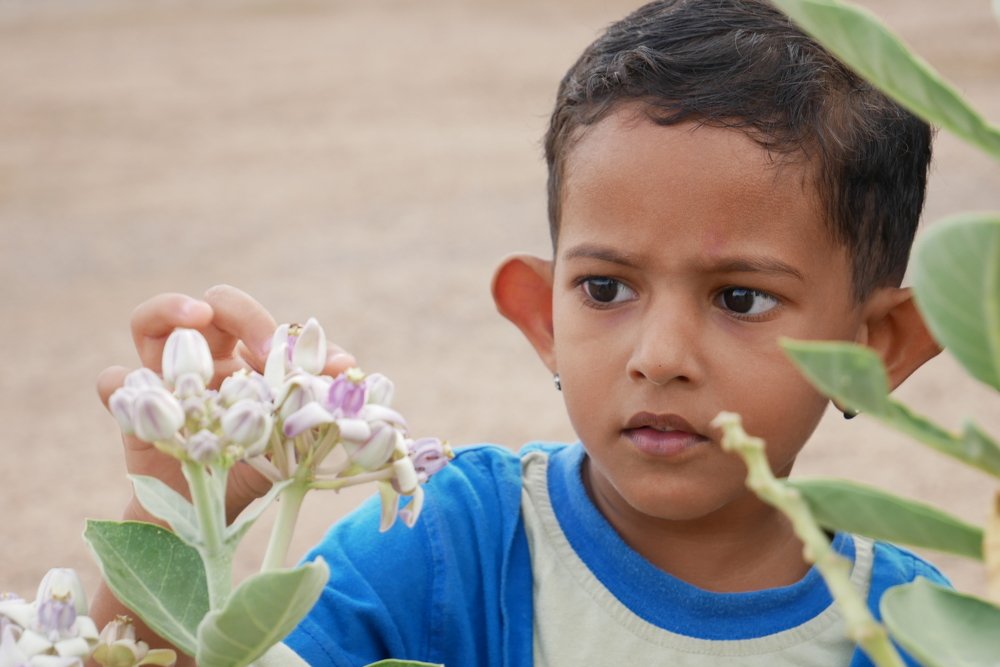 Фотография автора Harishanthan