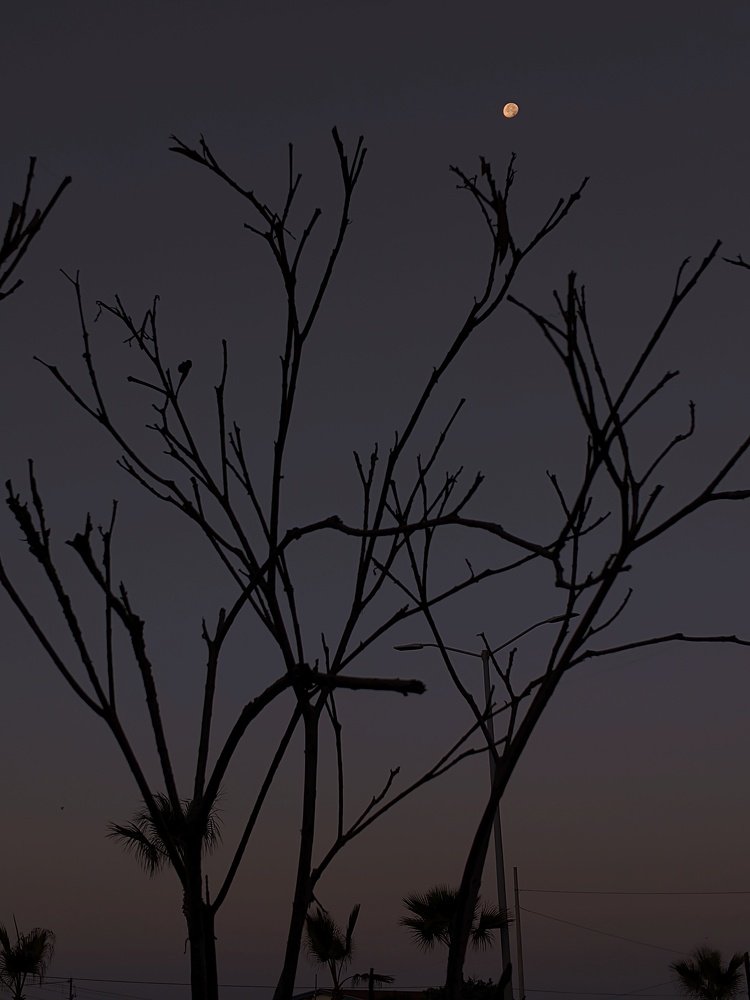 Photograph by Prakhar Sengar