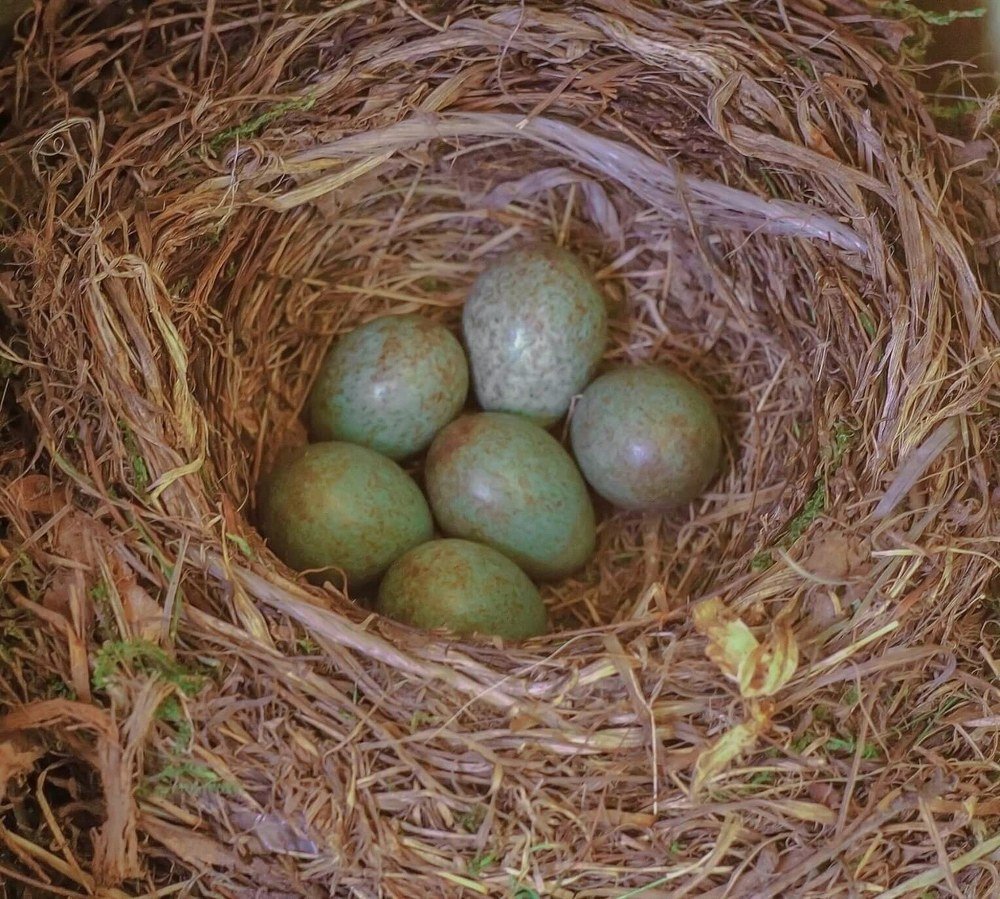 Photograph by Алексей Стрижаков