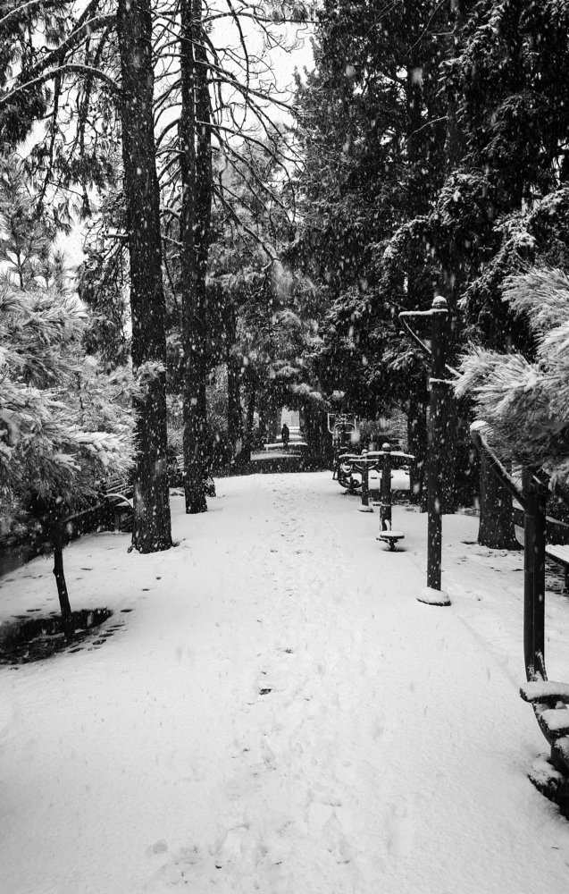 Photograph by Farshad Yazdankhah