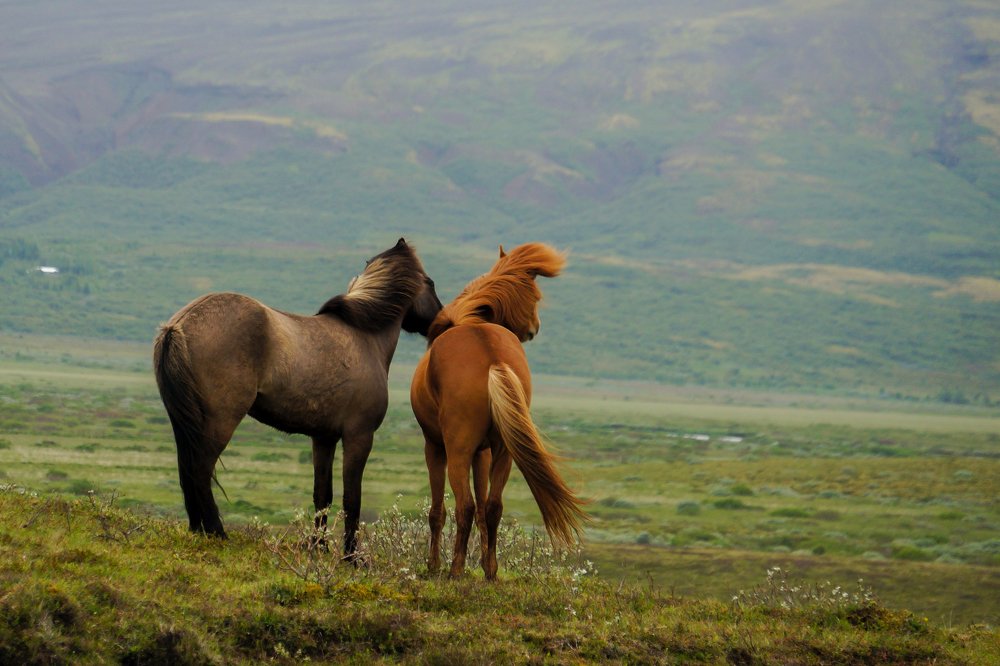 Photograph by Валерия Машкова