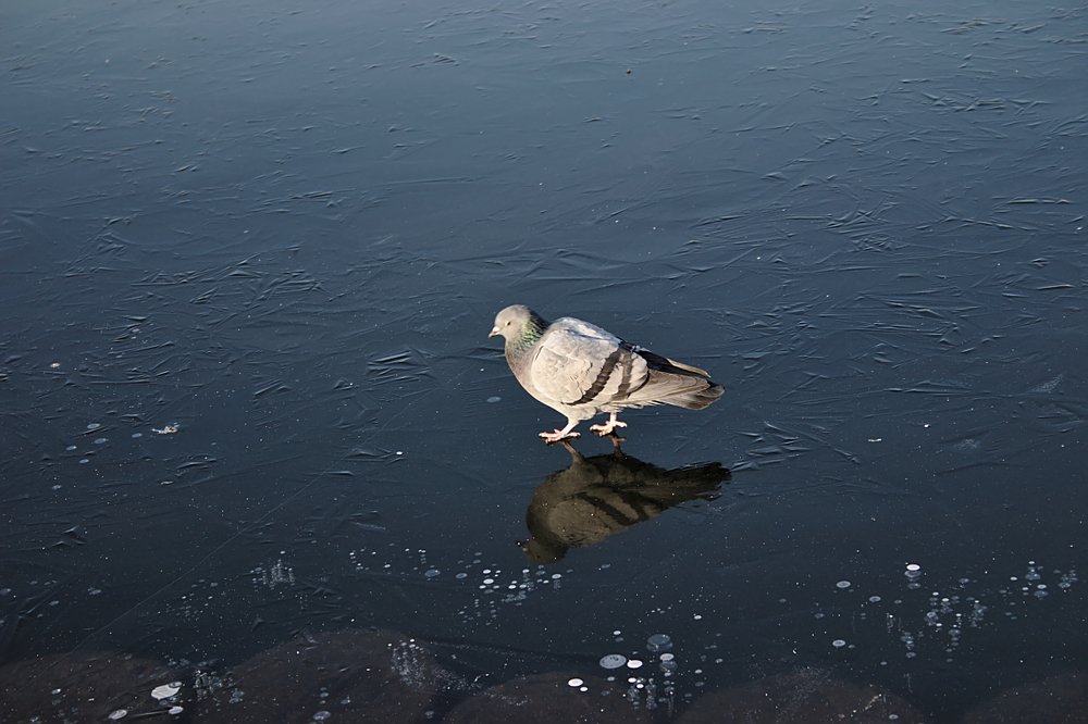 Photograph by Евгений Беленков