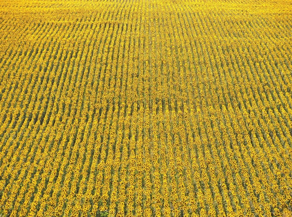 Photograph by Виктор Карпухин