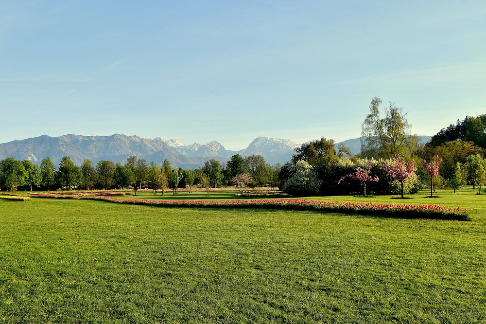 Photograph by Lojze Burja