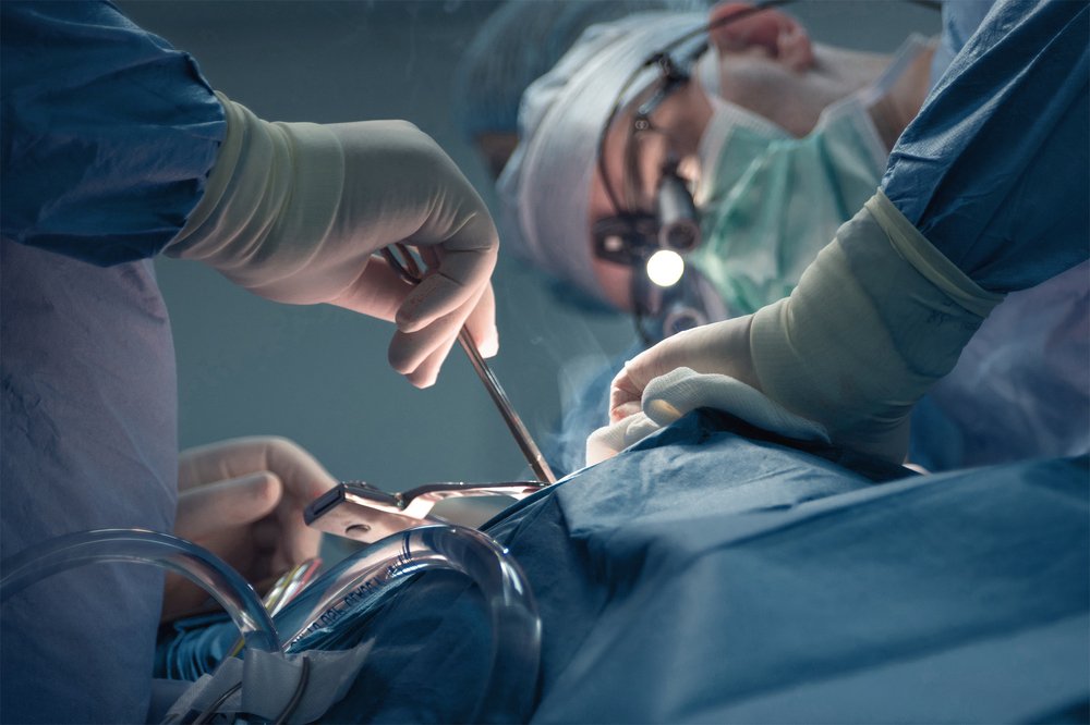 Repair People - Daily Activity