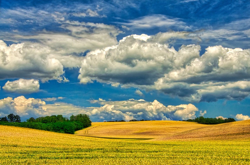 Photograph by Dragan Cerovic