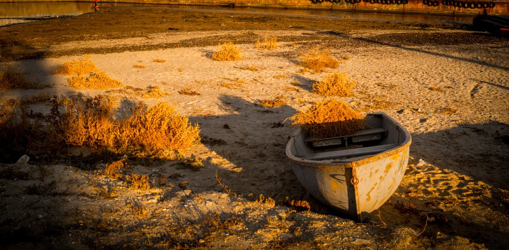 Photograph by Сергей Мамалюк