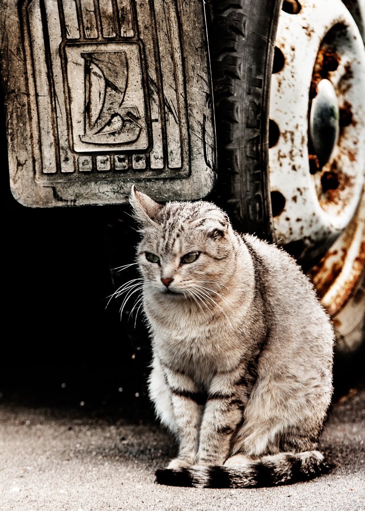 Photograph by Владимир Супонев