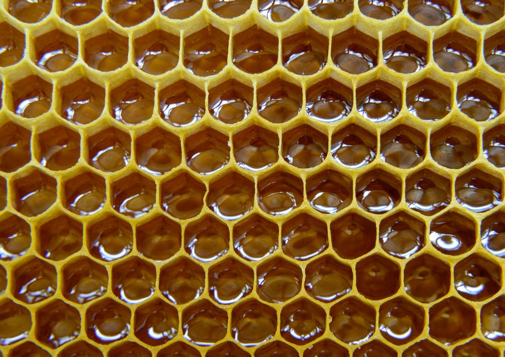 Honeycomb