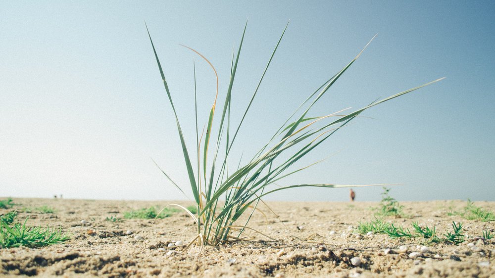 Photograph by Кирилл Гривенюк