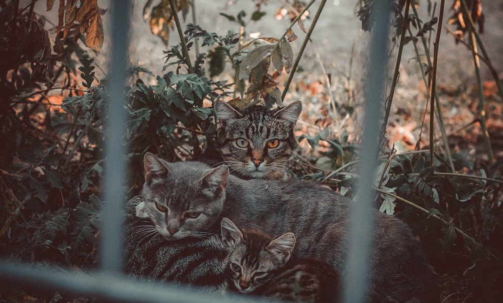 Photograph by Ирина