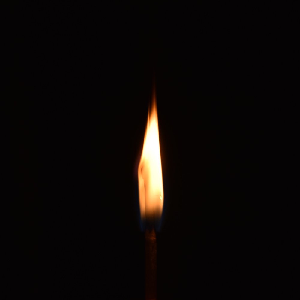 Burnt matchstick