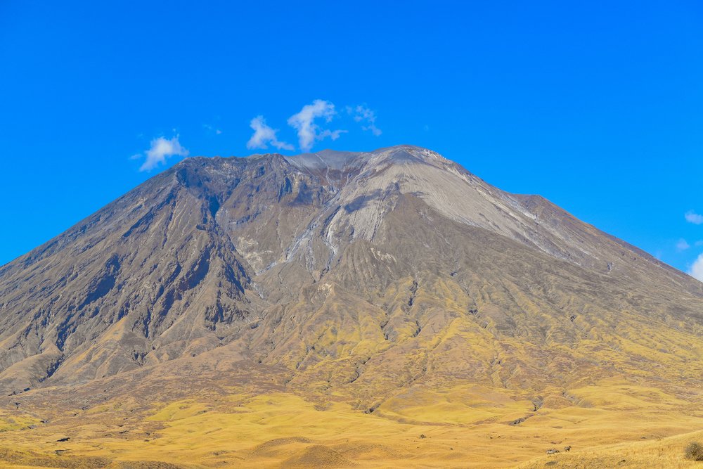 Photograph by Frank Keurntjes