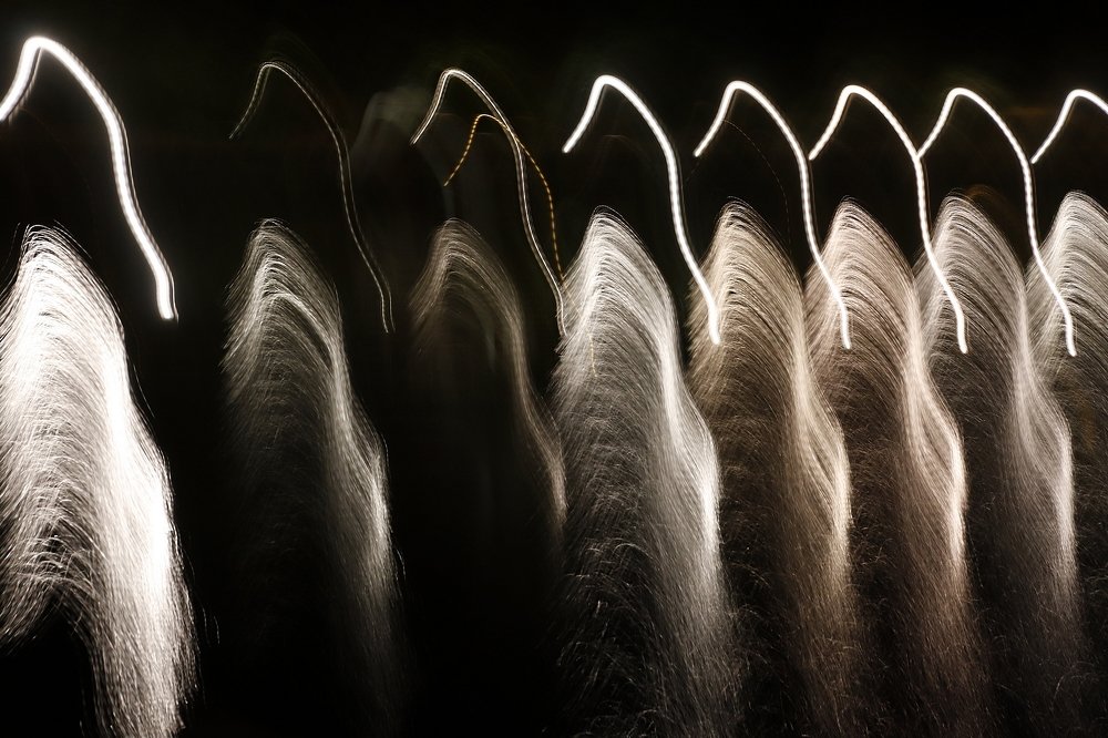 Napoleon army on Leman