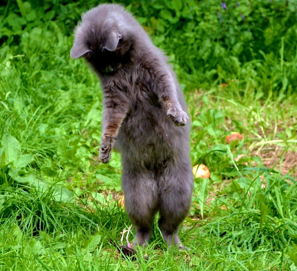 Photograph by Ольга Хромова