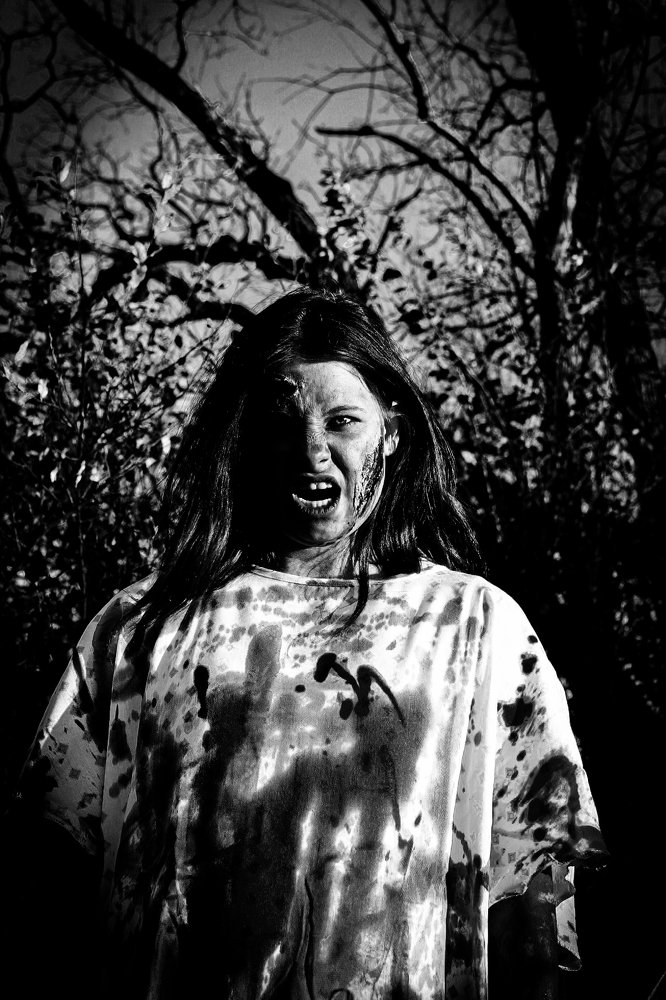 Photograph by Stephen