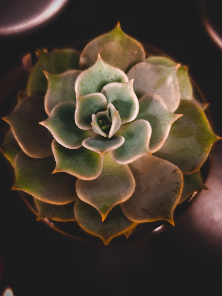 Photograph by Stephen