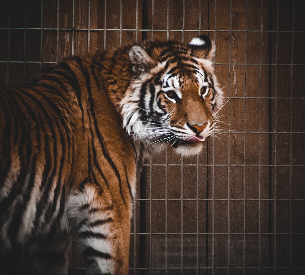 Photograph by Stephen