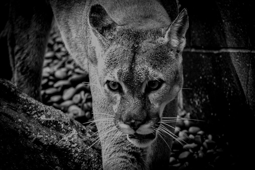 Photograph by Stephen