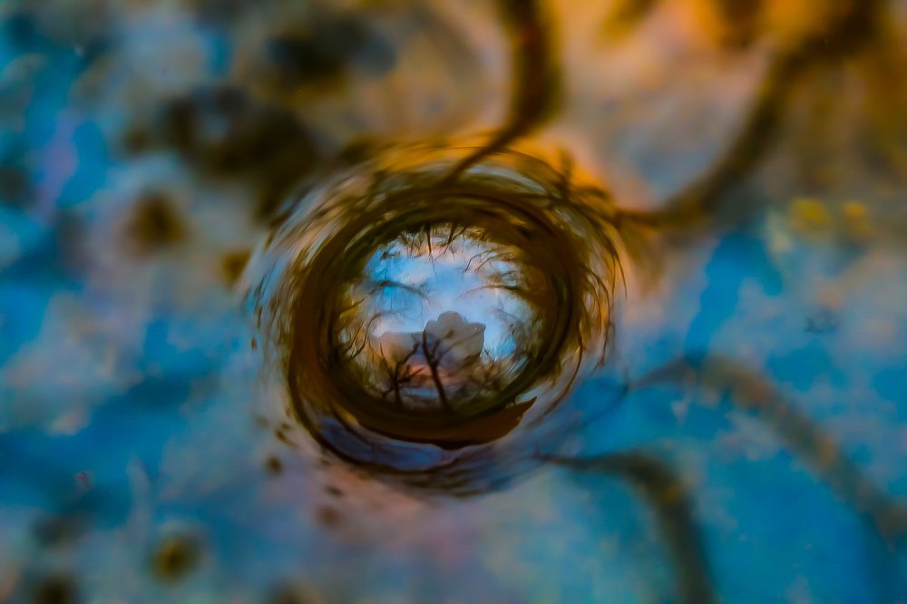 Photograph by Stephen