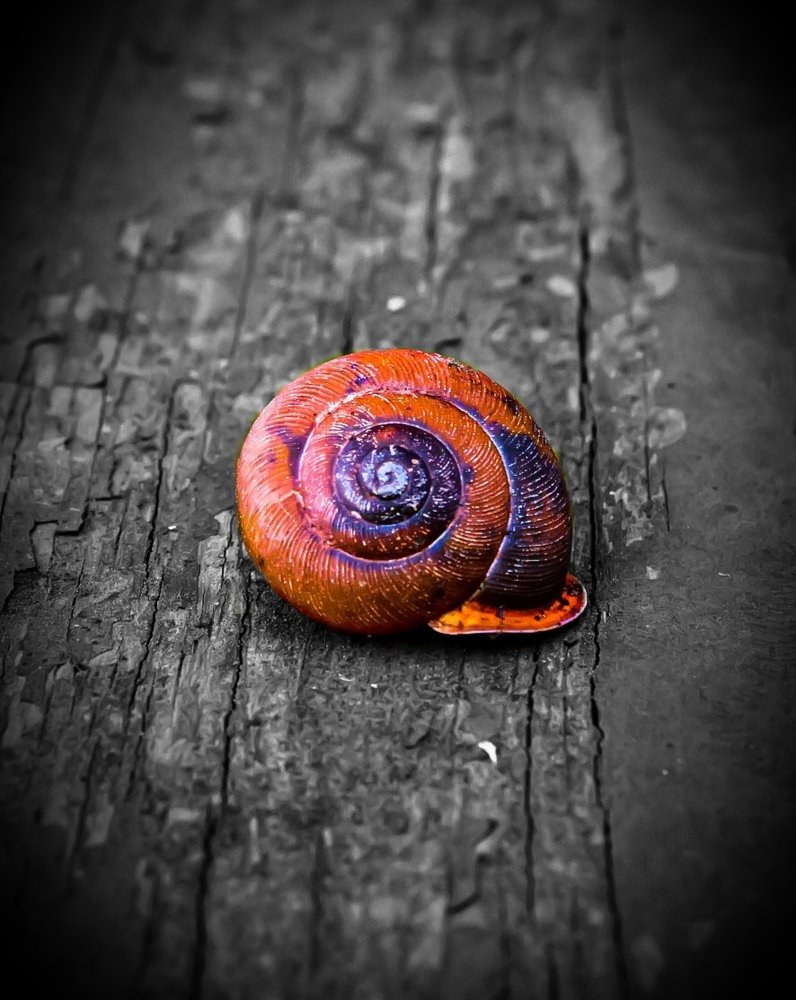 Photograph by Stephen