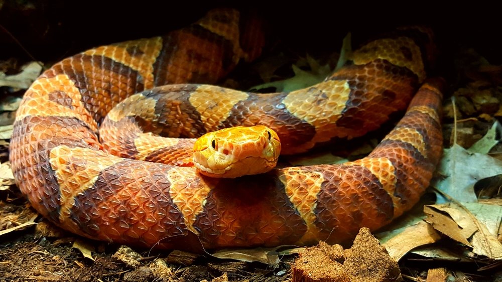 Photograph by Stephen