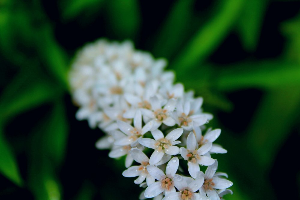 Photograph by Stephen