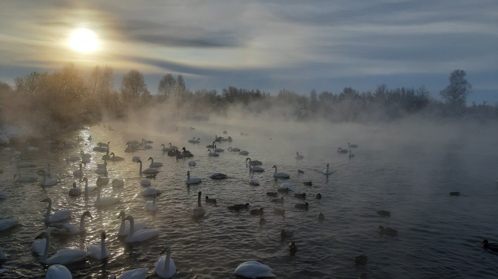 Photograph by Александр