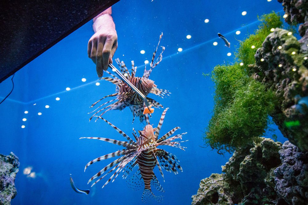 Photograph by Andrey Matveenko