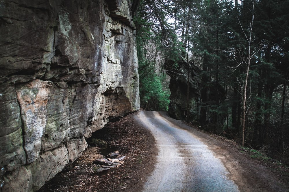 Photograph by Stephen