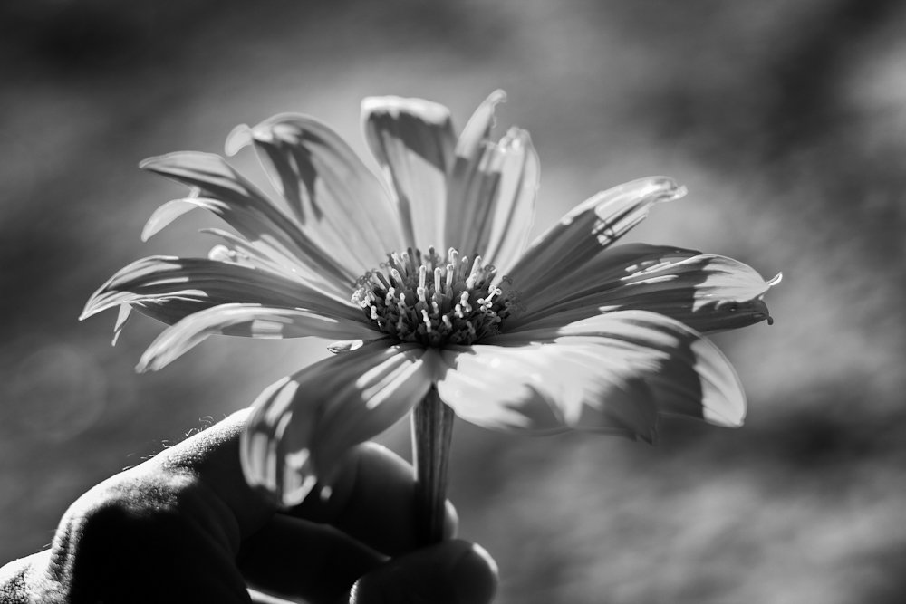 Photograph by Gerson Ricardo Costa Farias