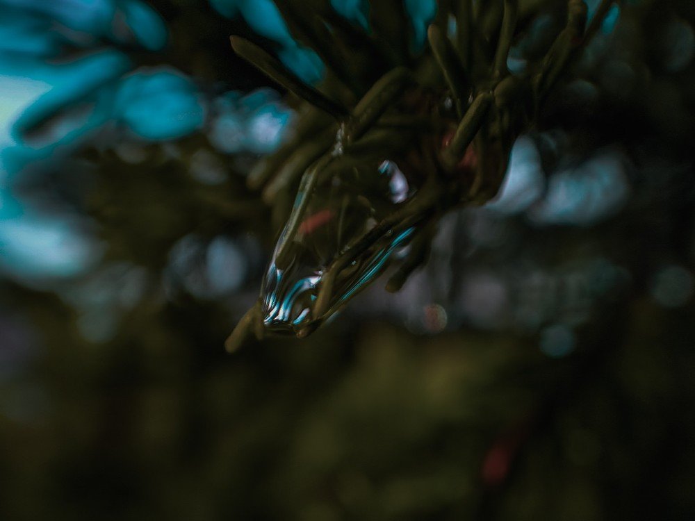 Photograph by Александр Энс