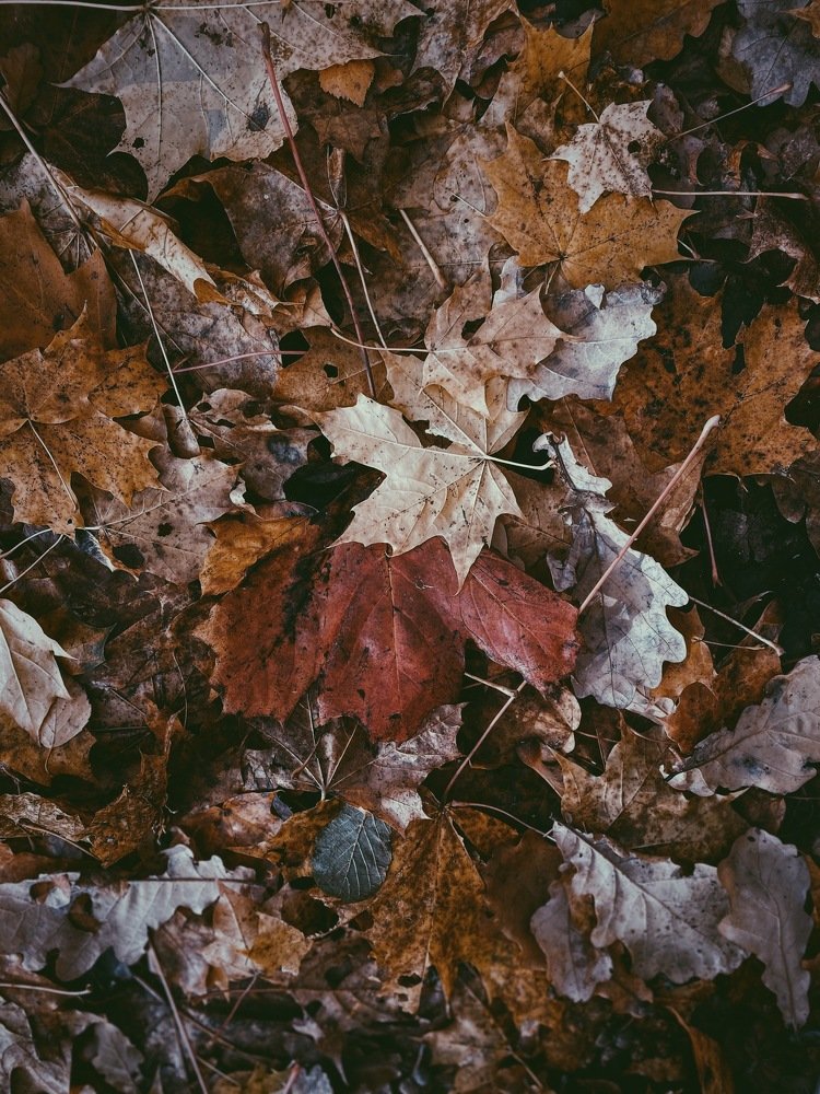 Photograph by Дмитрий Забуга