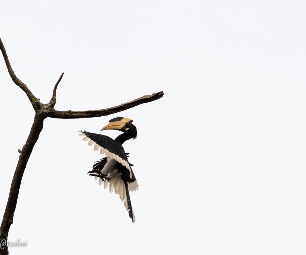 Photograph by Rashmi Deshpande
