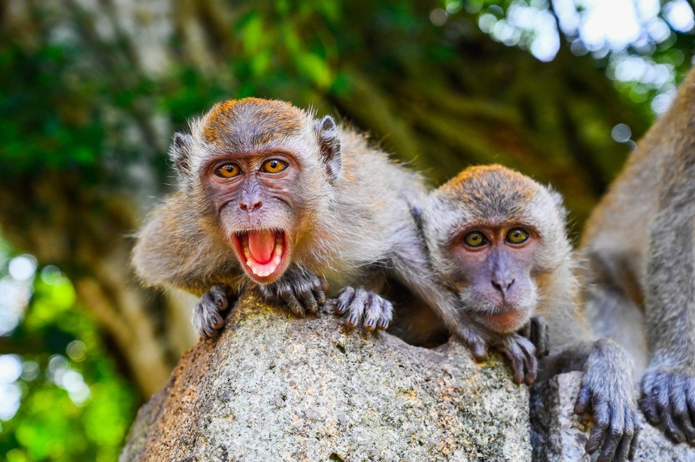 Photograph by Desmond Kok