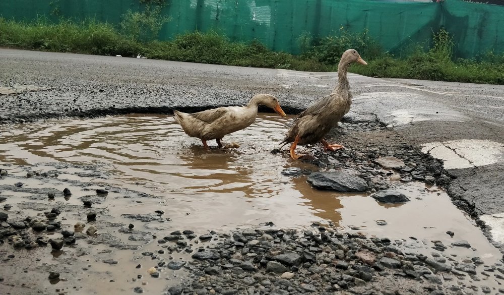 Photograph by Prabhu Viswanathan
