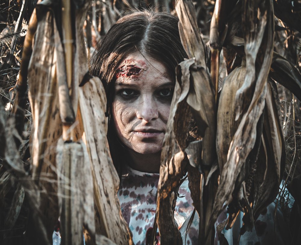 Photograph by Stephen