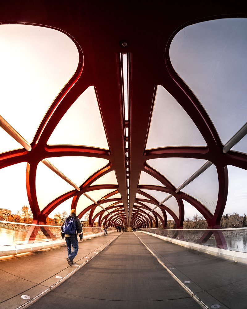 Photograph by madhur nangia