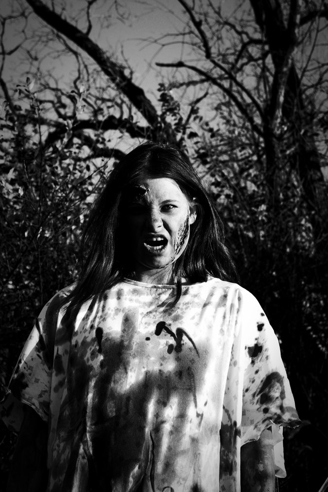 Photograph by Stephen