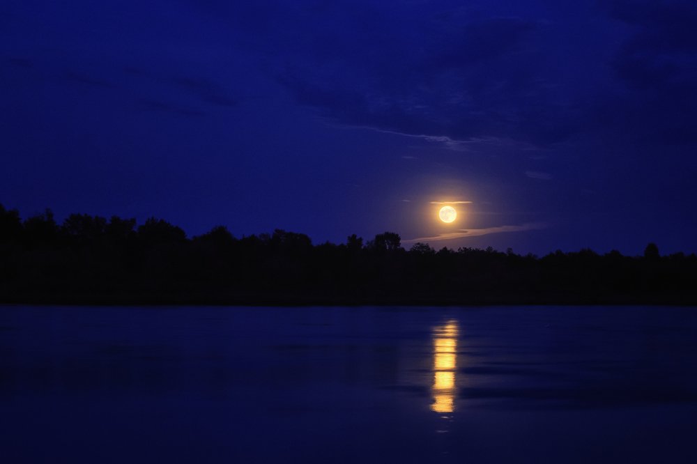 Photograph by Ирина Приходько