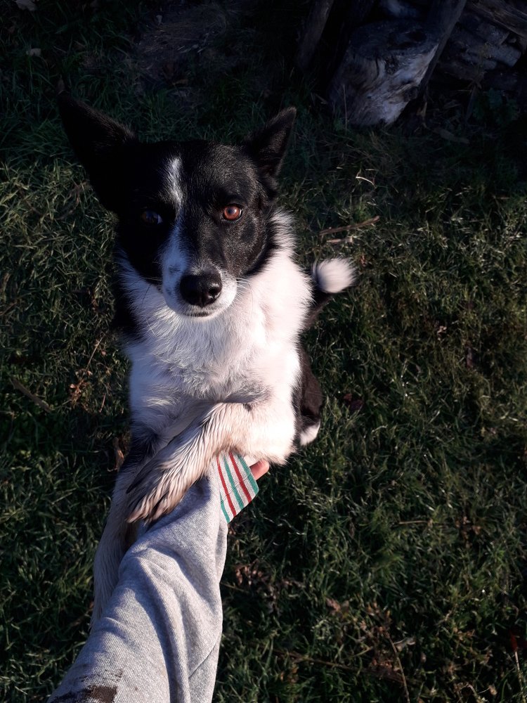 Фотография автора Оксана Талан