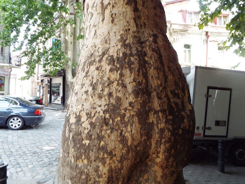 Photograph by Ирина