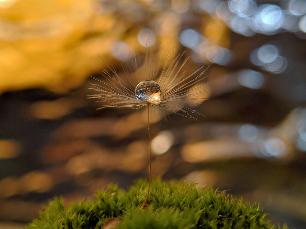 Photograph by Зайнаб Шукурова