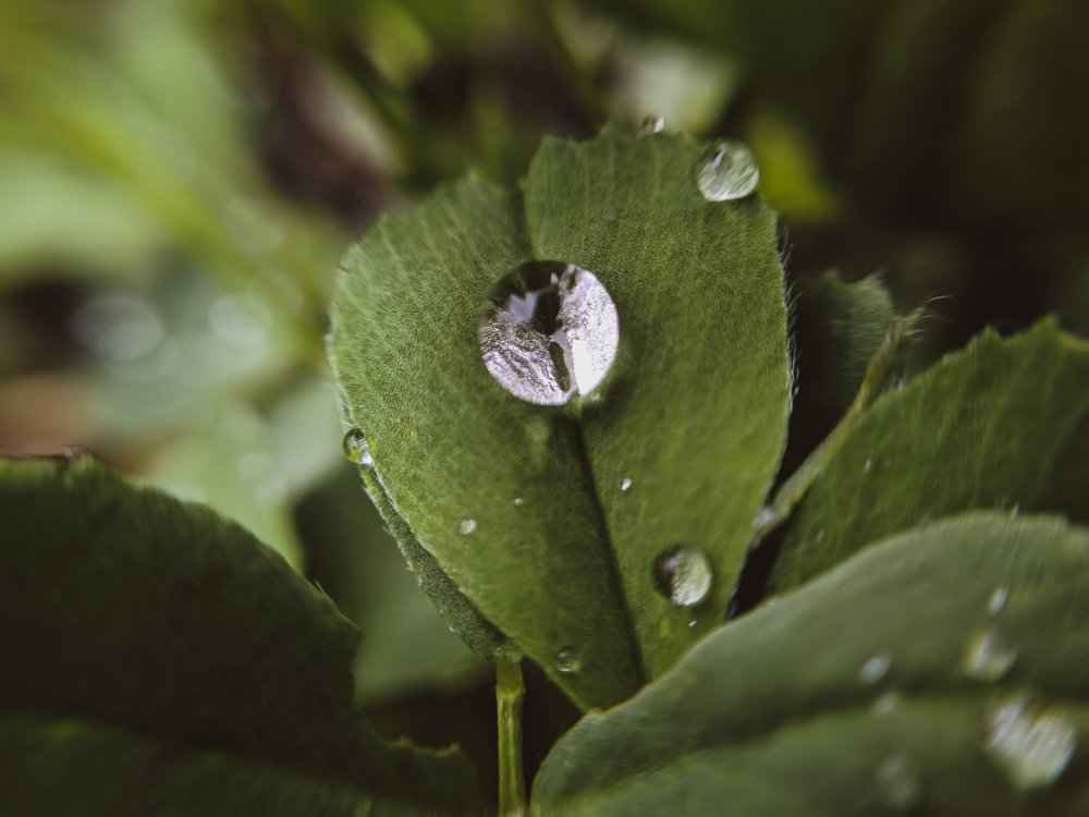 Photograph by Зайнаб Шукурова