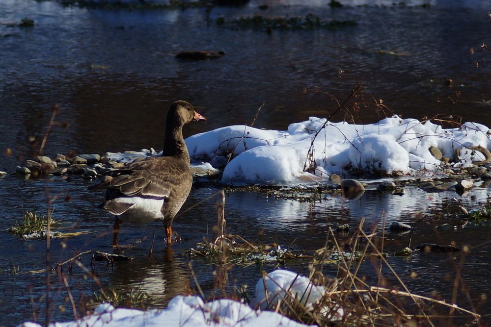 Photograph by Юлия Лихачева