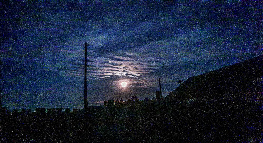 Ночной вой.